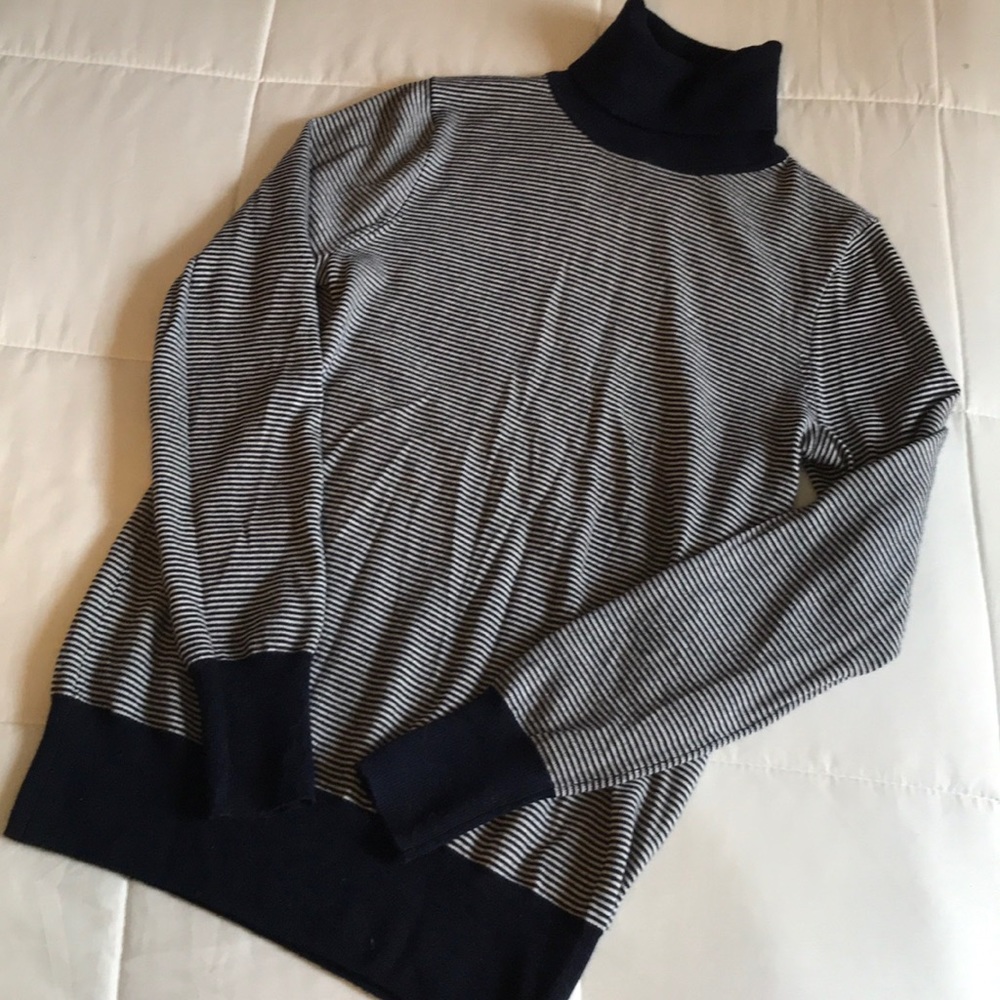 Striped Merino Wool J. Crew Turtleneck